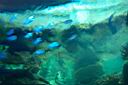 2002 Las Vegas 098.jpg